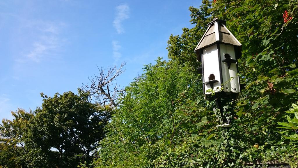 Elderslie Guest House Oban Bagian luar foto